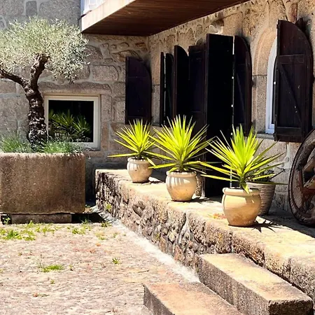 Quinta Esmeralda - “kiwi House” Mosteiro (Vila do Conde)